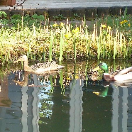 Ferienwohnung Im Gartenparadies Eurasburg Екстер'єр фото