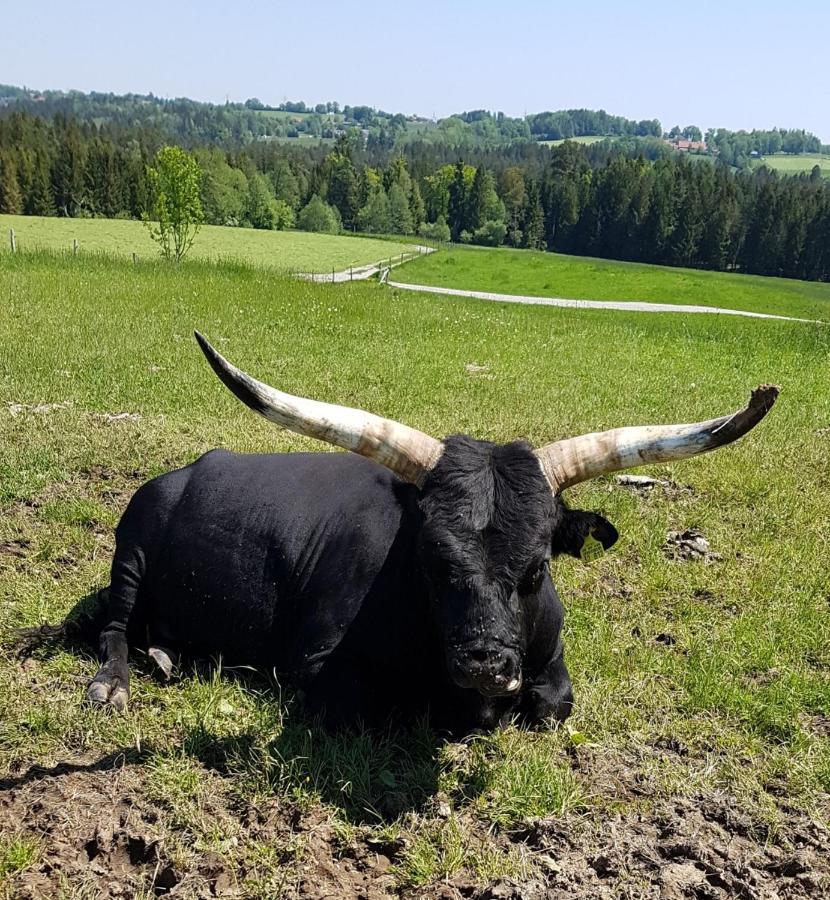 Ferienwohnung Im Gartenparadies Eurasburg Екстер'єр фото